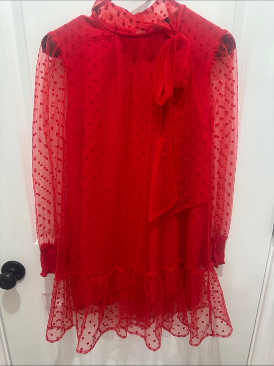Meritt Dresses & Skirts - Red Swiss Dot Tie-Neck Mini Dress - Women